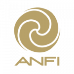 Anfi Group marketing digital las palmas